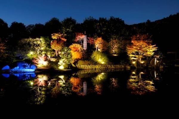 「秋の庭園ライトアップ」東京・目白庭園で、モミジが池に映り込む幻想的な"鏡映し"