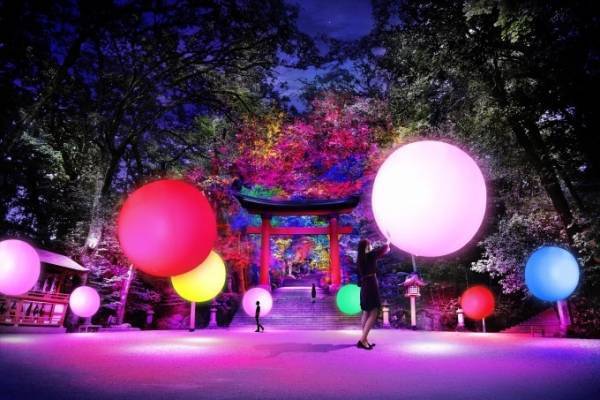 大分で「宇佐神宮 光の祭 Art by teamLab」国宝が光のデジタルアート空間に