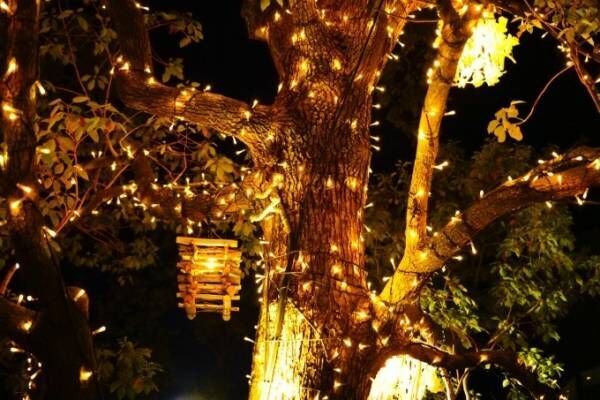 「オモハラ イルミネーション」東急プラザ表参道原宿・屋上テラスで、樹木と灯りの幻想空間