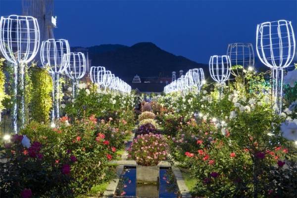 ハウステンボス「秋バラ祭」イルミネーションと香り高いバラが織りなす幻想的世界へ
