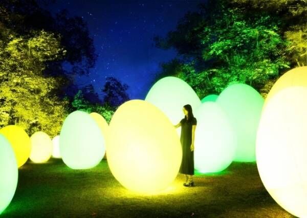 「チームラボ 森と湖の光の祭」ムーミンの世界を体験できるテーマパーク内「メッツァビレッジ」で開催