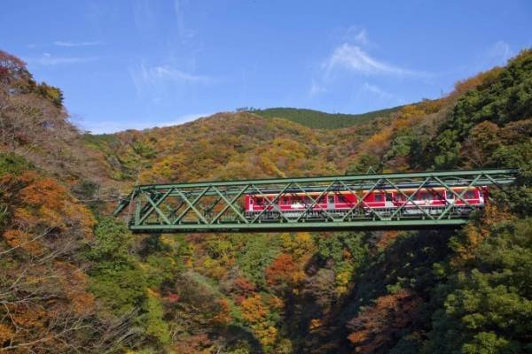 【箱根観光】2018紅葉スポット紹介 - 箱根で一番と言われる名所・箱根美術館など