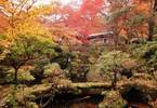 箱根に「和カフェ 強羅環翠楼」が秋限定でオープン - 紅葉の名所で味わう和菓子や抹茶のセット