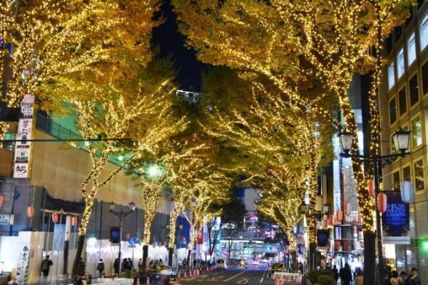 渋谷ウィンターイルミネーション、渋谷ストリームの体験型イルミネーションなど