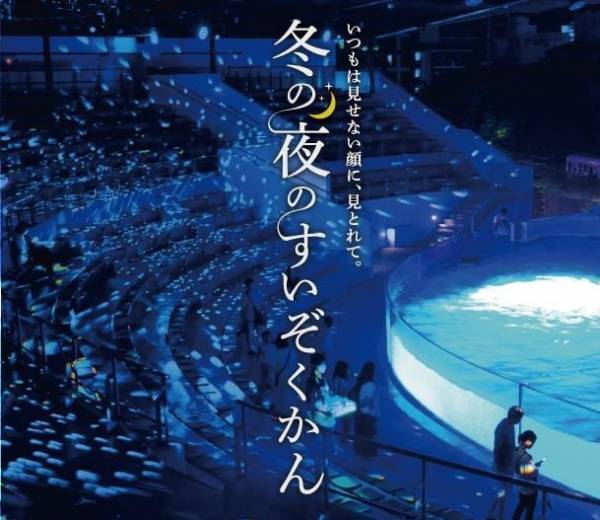京都水族館、クリスマス限定の夜間イベント - 特別照明で照らした館内で夜のいきものを観察