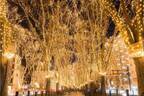 「2018 SENDAI光のページェント」仙台・定禅寺通で - LED約60万球のイルミネーション
