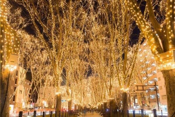 「2018 SENDAI光のページェント」仙台・定禅寺通で - LED約60万球のイルミネーション
