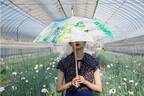 コシラエルの晴れの日も雨の日もOKな長傘「ルル」シリーズ、フラワーや白鳥モチーフ