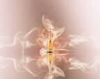 シャンパーニュ・メゾン「ペリエ ジュエ」より新作ロゼ、サーモンピンクの泡が明るく輝く