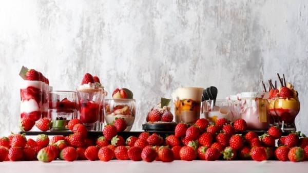 ウェスティンホテル東京の「ストロベリー デザート ブッフェ」平日限定、計100種類の豊富な苺スイーツ