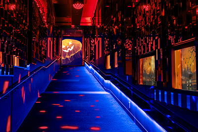 すみだ水族館「クラゲとハロウィン」魔女＆カボチャを背景に“オバケ”のように漂うクラゲ