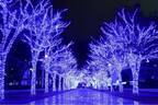 『青の洞窟 SHIBUYA』渋谷公園通り～代々木公園ケヤキ並木が青一色に染まる
