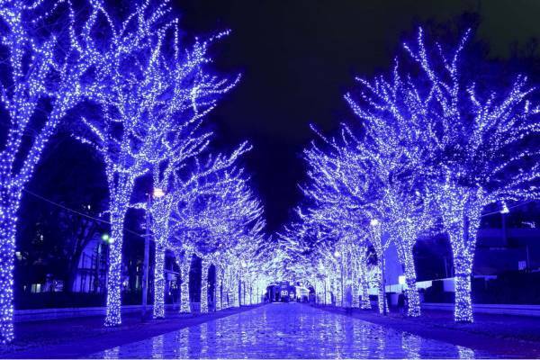 『青の洞窟 SHIBUYA』渋谷公園通り～代々木公園ケヤキ並木が青一色に染まる