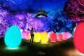 アート展「チームラボ 広島城 光の祭」広島城がインタラクティブな光のアート空間に