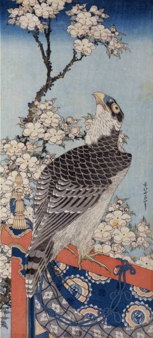 展覧会「北斎アニマルズ」すみだ北斎美術館で、北斎の描いた犬や猫、河童など