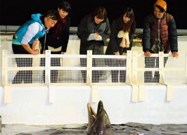 京都水族館「冬の夜のすいぞくかん」活発に動くオオサンショウウオ＆すやすや眠るペンギンなど観察