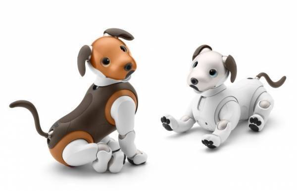 ペットロボ「アイボ」がチョコ色に！限定カラーのチョコ エディション登場