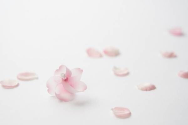 “かざぐるまのように回る”マグネット「カゼグルマ 桜」ピンクグラデカラーで桜をイメージ