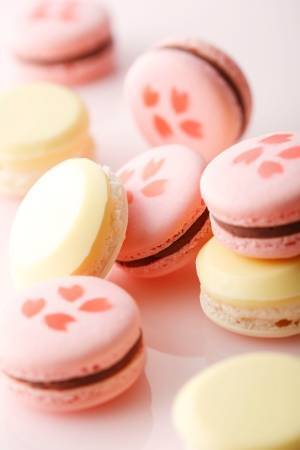 ホテルニューオータニ“桜”モチーフの「紅白マカロン」こしあん＆しろあんと桜の花びらをサンド
