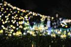 絶景イルミネーション「水仙岬のかがやき2019」福井で - 16,100個のLEDによる“電飾の花”