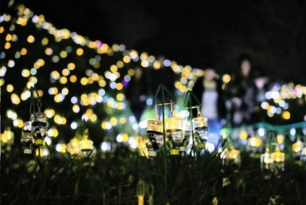 絶景イルミネーション「水仙岬のかがやき2019」福井で - 16,100個のLEDによる“電飾の花”