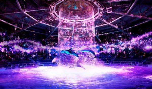 マクセル アクアパーク品川×ネイキッド「サクラアクアリウム」“桜の海”でイルカやペンギンとお花見を