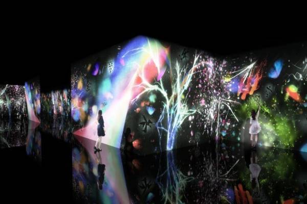 チームラボの展覧会が兵庫・姫路市立美術館で開催