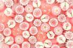 パパブブレの「桜ミックス」キャンディ、1分咲き〜満開まで花の移ろいを表現