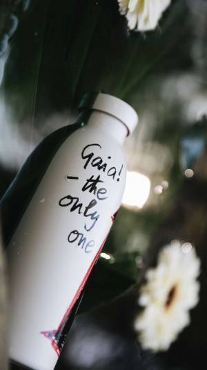 ヴィヴィアン・ウエストウッドから手描きアートワークのステンレススチールボトル、24 ボトルズとコラボ