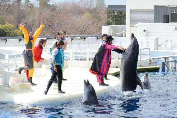 京都水族館のイルカパフォーマンス「ラ・ラ・フィン サーカス」4部作の最終章、エイベックスが制作