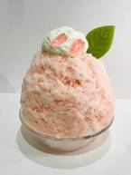 花びら舞い落ちる“桜かき氷”、巣鴨「かき氷工房 雪菓」で販売 - 天然氷ならではのフワフワ食感で