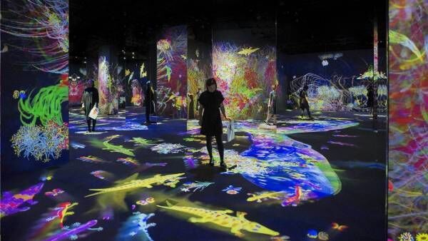 広島で「チームラボ 学ぶ！未来の遊園地と、花と共に生きる動物達」体験型デジタルアート展