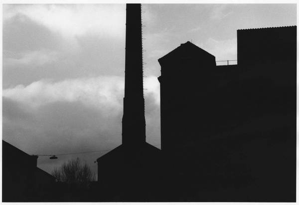 「デヴィッド・リンチ＿精神的辺境の帝国」展が表参道GYREで、創作原点に迫る作品をリンチ本人が選定