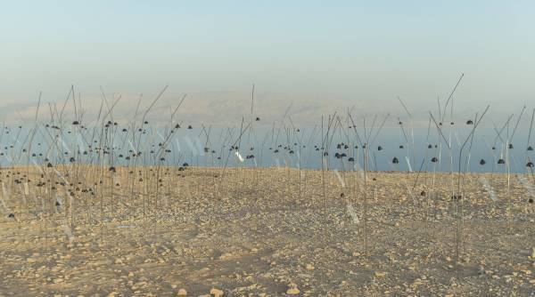 クリスチャン・ボルタンスキーの展覧会、エスパス ルイ・ヴィトン東京で - 記憶を題材にした映像作品