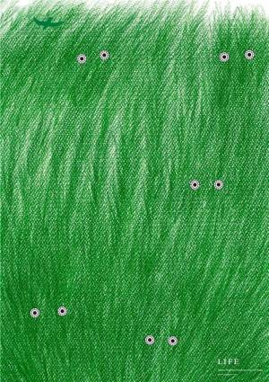 企画展「日本のグラフィックデザイン2019」ポスターやパッケージが東京ミッドタウンに集結、入場無料