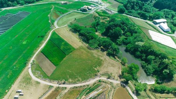 “農場”が舞台の複合施設「クルックフィールズ」千葉・木更津に誕生、草間彌生のアート展示も