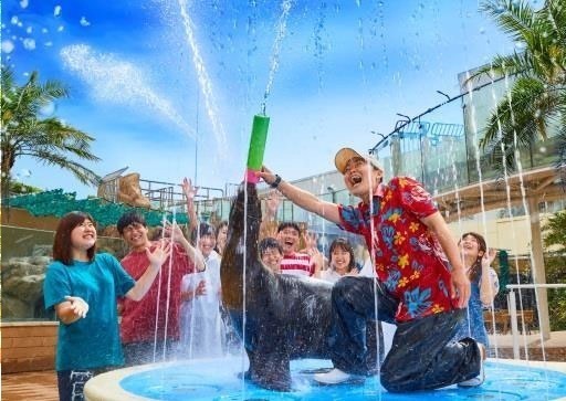 サンシャイン水族館の夏フェス、コツメカワウソに氷をプレゼント＆夜の大水槽前で乾杯も