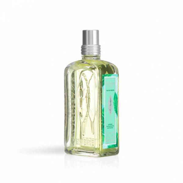 ロクシタン「ミントヴァーベナ」フレグランス&ボディケア、2種のミントとヴァーベナの涼やかな香り