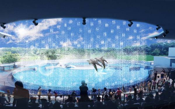京都水族館の夏限定アトラクション「バッシャーン!!」水のカーテンやイルカパフォーマンスでずぶ濡れに