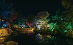 大阪「太閤園」で初のイルミネーション - 日本の伝統色で庭園を幻想的に染める