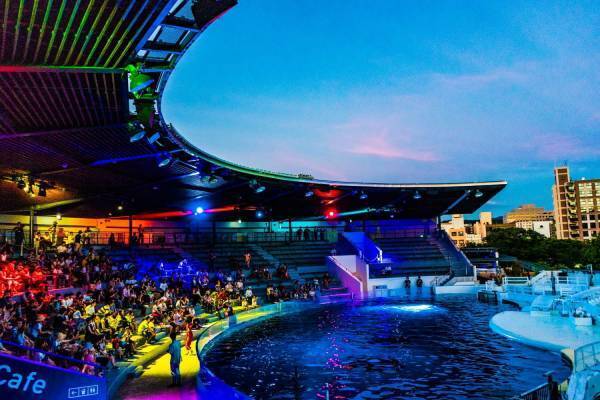 京都水族館「夜のすいぞくかん」ペンギンの寝顔を観察＆幻想的な光溢れる劇場型イルカパフォーマンス