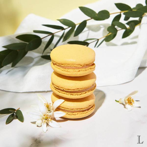 ラデュレ2019年夏の新作、ベルガモットガナッシュのマカロンなど