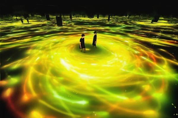 豊洲の巨大デジタルアート空間「チームラボプラネッツ」水面に泳ぐ鯉が“ヒマワリ”に変わる夏作品公開