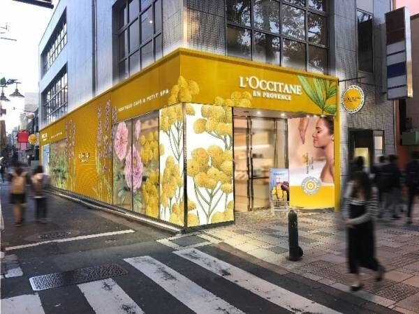 ロクシタン、表参道に日本初となるスパ＆カフェ併設の新店舗 - 限定「キャトルヴァンシス」シリーズも