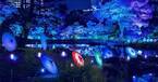 旧芝離宮恩賜庭園で夏ライトアップ「江戸夏夜会」水の音と連動した光や霧、江戸風の装飾で夏の涼を演出