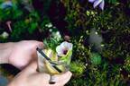 “その場で摘める”ハーブ×冷茶でノンアルカクテルを作れる「飲む植物園@東京茶寮」三軒茶屋で