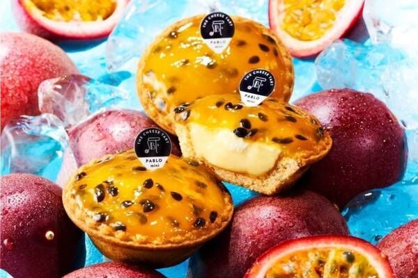 パブロミニの新作タルト「つぶつぶパッションフルーツ」甘酸っぱいパッションフルーツ×爽やかヨーグルト