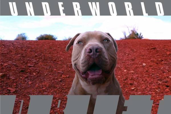 アンダーワールドの新アルバム『ドリフト ソングス』Tシャツ付きデラックス・エディションも