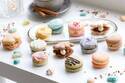 手作りマカロン専門店「どっとり」代官山にオープン、貝殻や花を象った“カラフルマカロン”