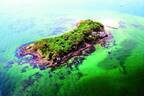 「Sense Island -感覚の島- 暗闇の美術島」横須賀・猿島で、夜の無人島でアート体験